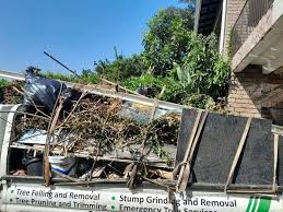 Best Residential Junk Removal  in Viera East, FL